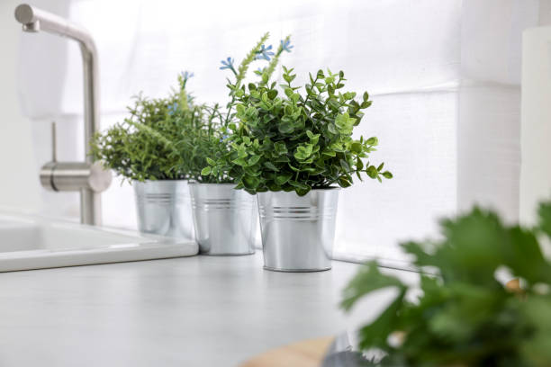 istock Different potted artificial plants on countertop in kitchen. Home decor 1929975949