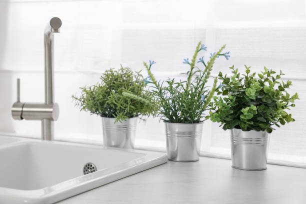 istock Different potted artificial plants on countertop in kitchen. Home decor 1929975959