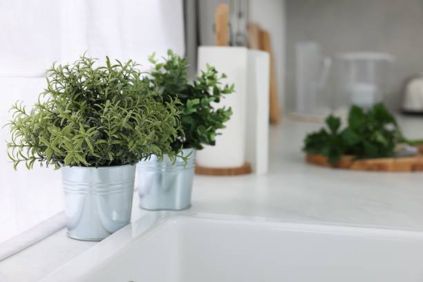 istock Different potted artificial plants on countertop in kitchen, space for text. Home decor 1929975960