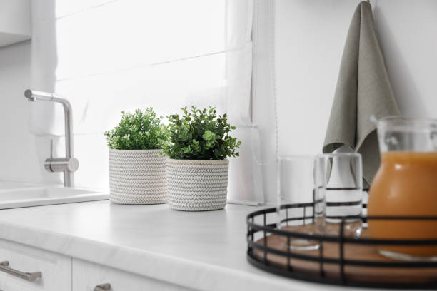 istock Different potted artificial plants on countertop in kitchen. Home decor 1929976466