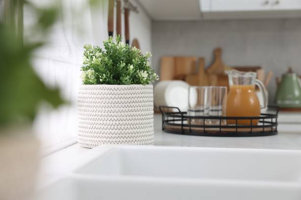 istock Different potted artificial plants on countertop in kitchen. Home decor 1929976518