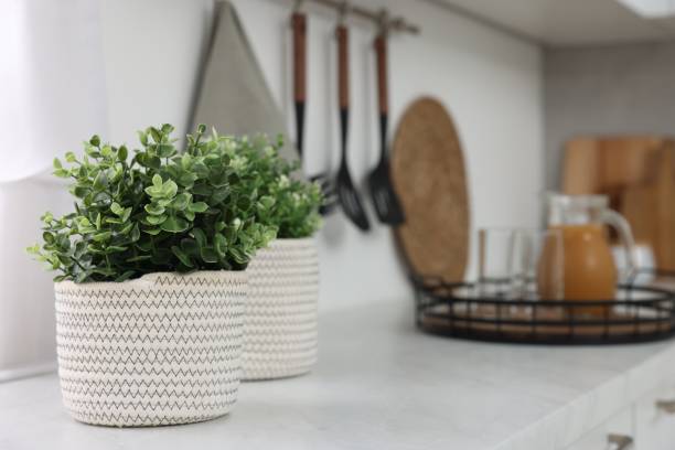 istock Different potted artificial plants on countertop in kitchen, space for text. Home decor 1929977084