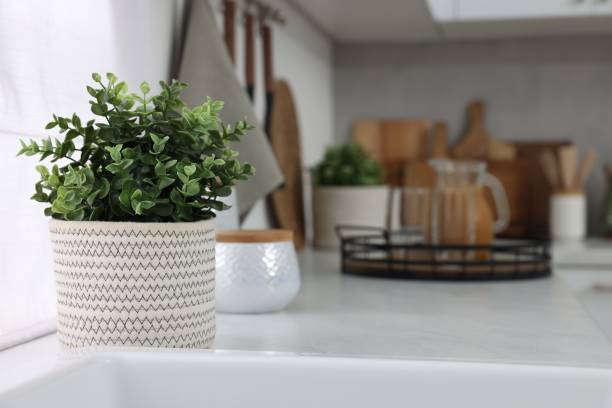 istock Beautiful potted artificial plant on countertop in kitchen, space for text. Home decor 1929977090