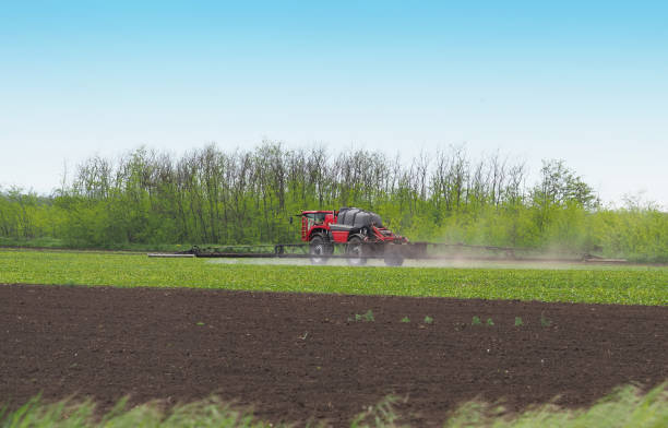 istock Tractor spraying pesticide on a field 1929979838
