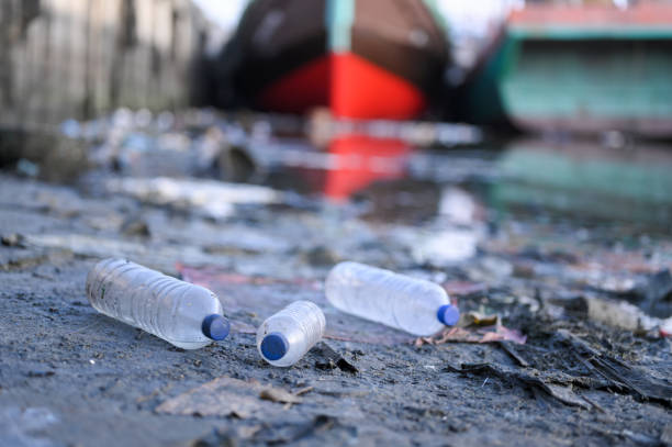 istock Bottle trash at the port 1930003815
