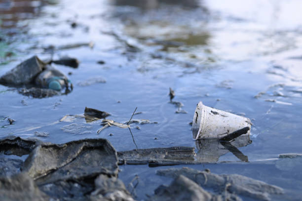 istock Bottle trash at the port 1930009661