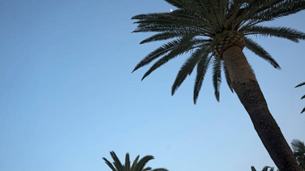 Sky by the Mediterranean