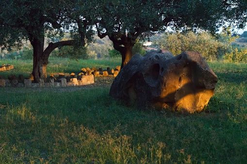 Olive trees and boulder in a Sicilian garden