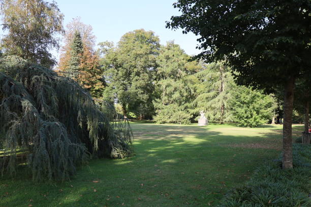 istock Mont de Marsan - Jean Rameau park 1930101081