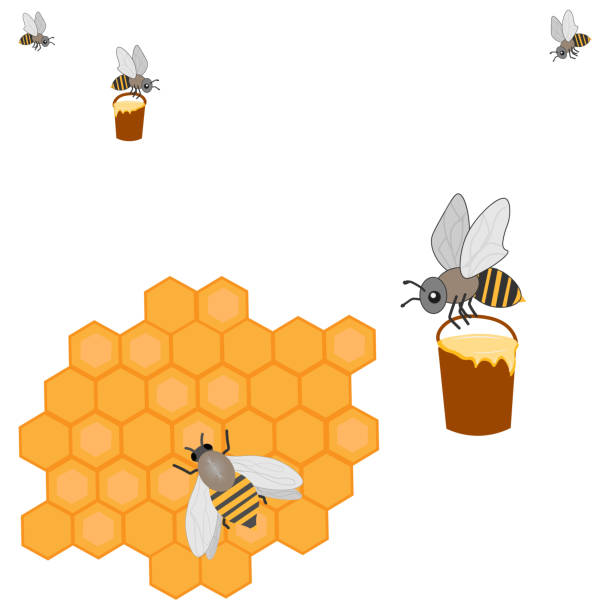 ilustraciones, imágenes clip art, dibujos animados e iconos de stock de dos abejas vuelan con cubos llenos de miel. - nectarine peaches peach abstract