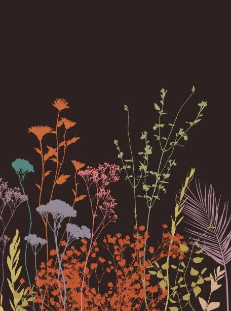 Explore 52,352+ Free Pod Patterns Illustrations: Download Now - Pixabay