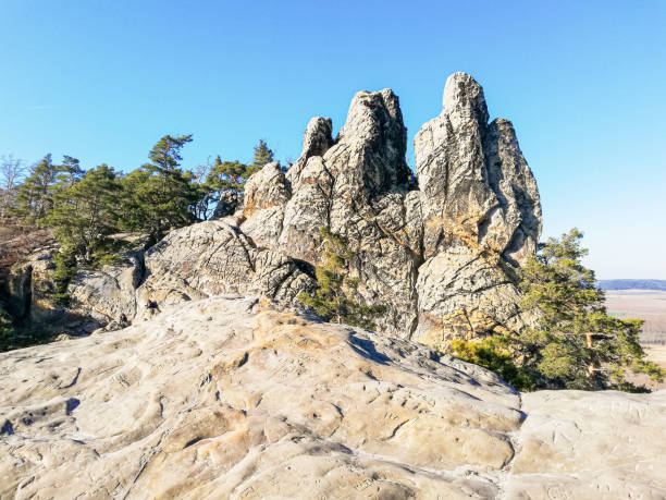 Hamburger Wappen, part of the Devil's Wall (Teufelsmauer), a rock formation made of sandstone, Harz Mountains, Germany