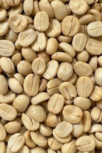 istock (Coffee substance) Thai Arabica and Robusta  fully washed process for home roasting green coffee be 1930223016
