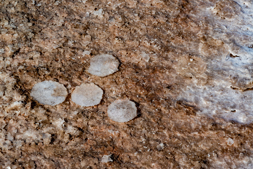 Salt Lake. Self-settling sodium chloride salt on rocks near the shore. Hypersaline water in a drying lake is an environmental problem. Kuyalnik Estuary, Ukraine