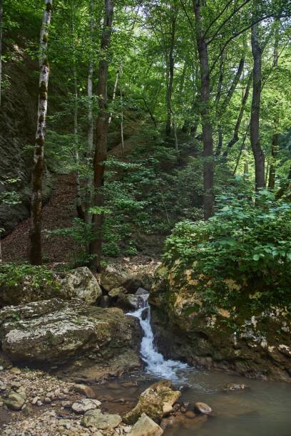 istock Waterfall in the forest. Mountain river. Journey through the river valley 1930235479