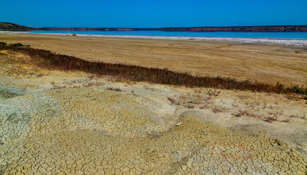 Hyperhaline Kuyalnik estuary. Dry cracked therapeutic mud at the bottom of a drying reservoir Hyperhaline Kuyalnik estuary. Dry cracked therapeutic mud at the bottom of a drying reservoir, Ukraine odessa beach stock pictures, royalty-free photos & images