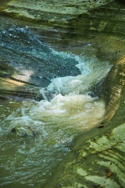 istock Waterfall in the forest. Mountain river. Journey through the river valley 1930239840