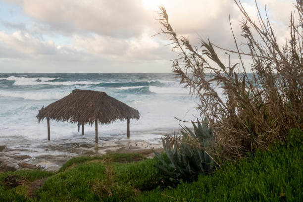 istock Windansea Beach La Jolla, California 1930293795