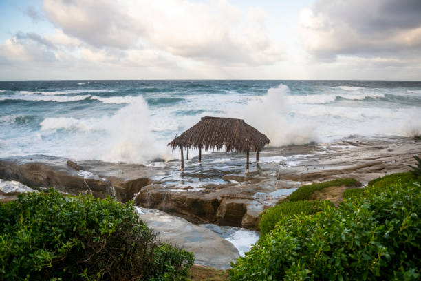 istock Windansea Beach La Jolla, California 1930293796
