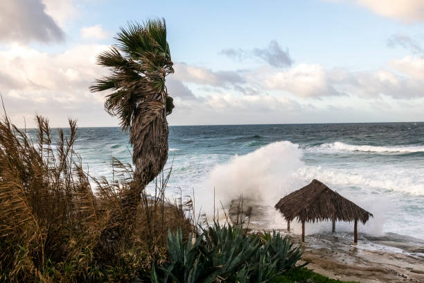 istock Windansea Beach La Jolla, California 1930293797