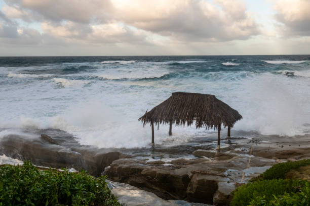 istock Windansea Beach La Jolla, California 1930293799