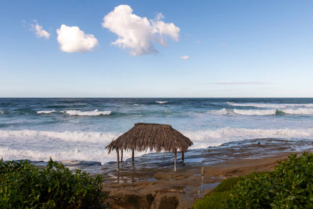 istock Windansea Beach La Jolla, California 1930293804