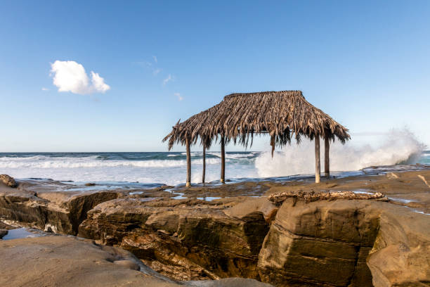Windansea Beach La Jolla, California