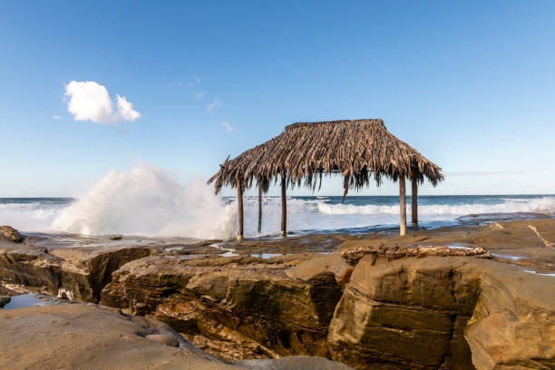 istock Windansea Beach La Jolla, California 1930293809