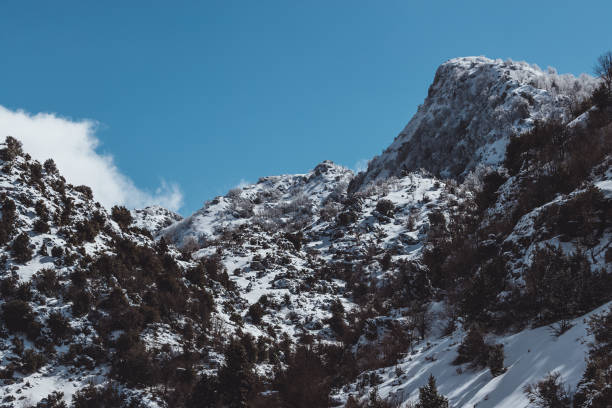 istock Beautiful winter snowy mountains landscape 1930294337