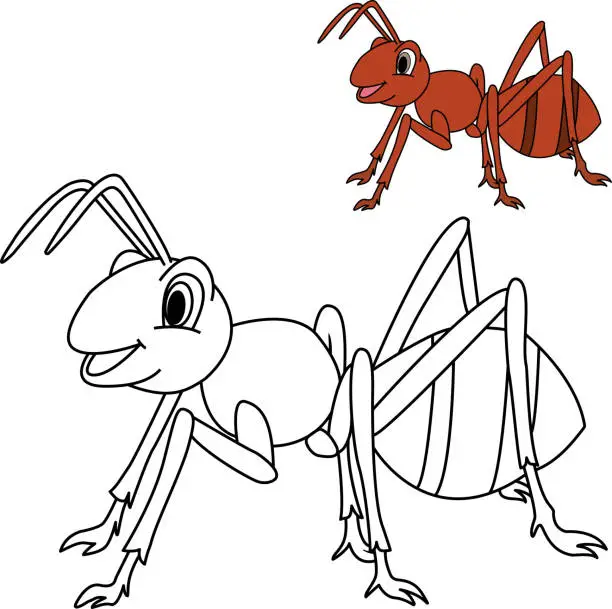 Vector illustration of Cartoon ant for kids coloring book. Insect vector illustration