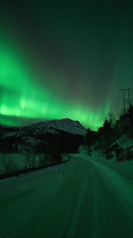 Aurora dancing above a snowy road in Bodø, northern Norway.