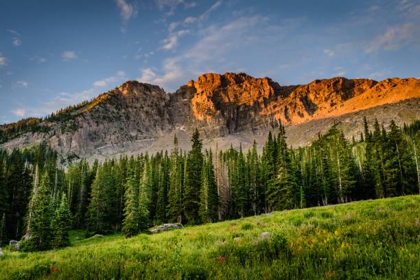 istock an empty field with some grass and trees on it with the mountain in the background 1930357487