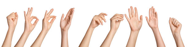 istock Set of female hands in different poses on a blank background 1930366025