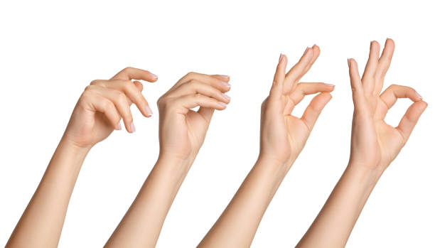 istock Set of female hands in different poses on a blank background 1930366026