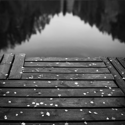 Wooden pier for small boats on the lake. Light birch leaves on boards. Selective focus. Monochrome image.
