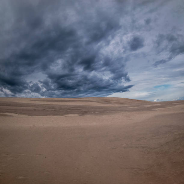 Beautiful scenery of moving sand dunes in the Slowinski National Park at cloudy midday, Leba. Poland. Dune Lacka.