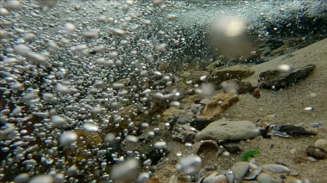 Close-up of camera moves backwards on fast current of mountain river with air bubbles flowing into sea