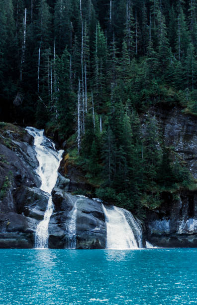 istock Alaska Creek Cascading Into Tide Water Bay 1930490830