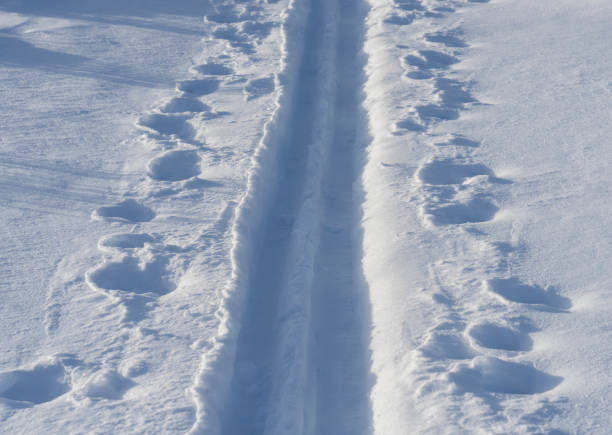 Cross country ski track with shadows and pole marks late in the day.