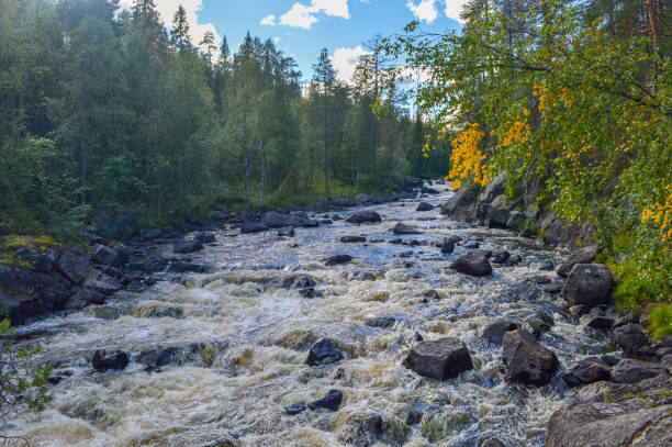 istock A stormy mountain river in Karelia, water flows between stones, the river is surrounded by a coniferous forest 1930610844