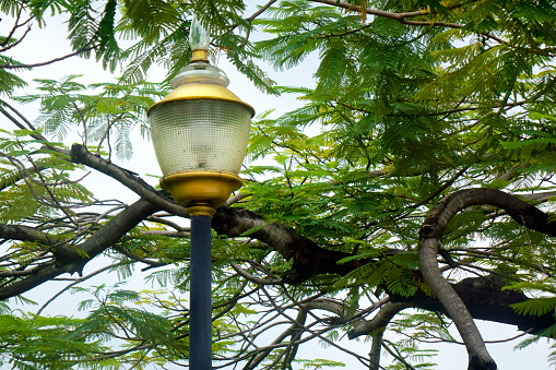 Close up old street lamp in Bangkok, Thailand