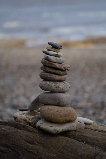 istock Pebbles stacked on drift wood 1930686758