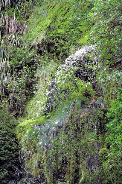 istock New Zealand South Island 1930708444