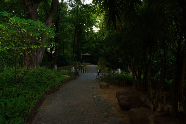 istock A Shady Walkway in the Garden 1930744471