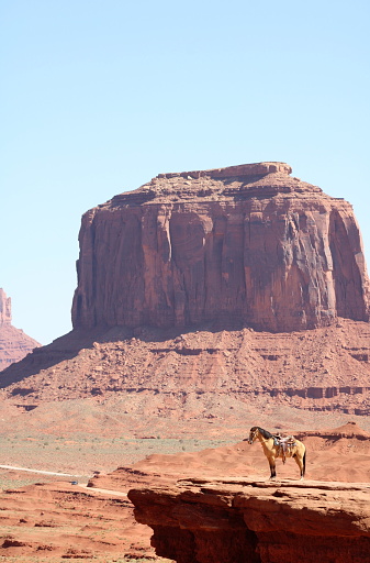 Scénographie impressionnante d’un cheval au bord d’une falaise devant une butte de monument valley