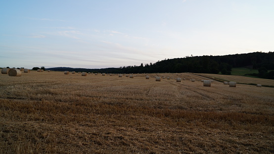 modern sheaves of wheat from different angles