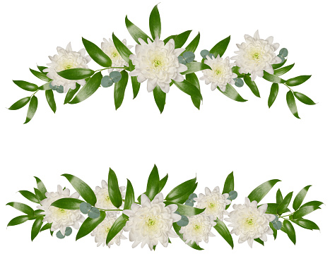 Decorative composition of white chrysanthemum flowers and green leaves, a bouquet for decorating greeting cards