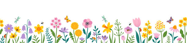 ilustraciones, imágenes clip art, dibujos animados e iconos de stock de flores de pascua de primavera, borde sin costuras en colores amarillo, rosa y morado - easter flower purple frame