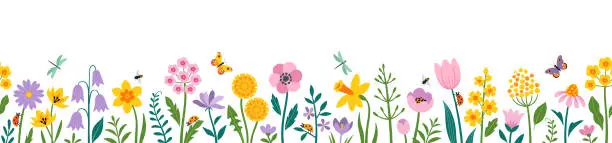 Vector illustration of Spring Easter flowers seamless border in yellow pink and purple colors