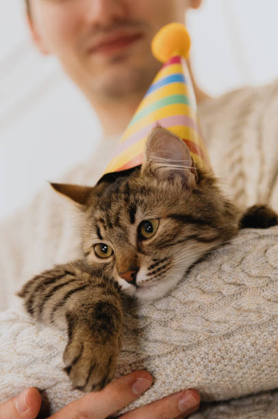 istock A young guy is holding a cat with a hat in his hands. 1930909082